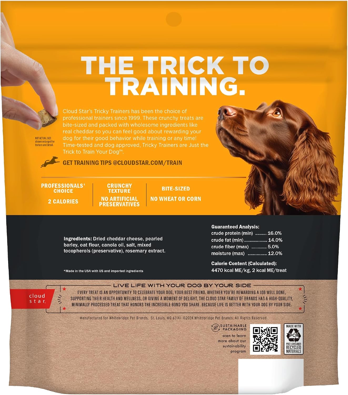 Cloud Star Tricky Trainers Crunchy Dog Training Treats 12 oz. Bag, Cheddar Flavor, Low-Calorie Behavior Aid with 680 Treats - Image 2