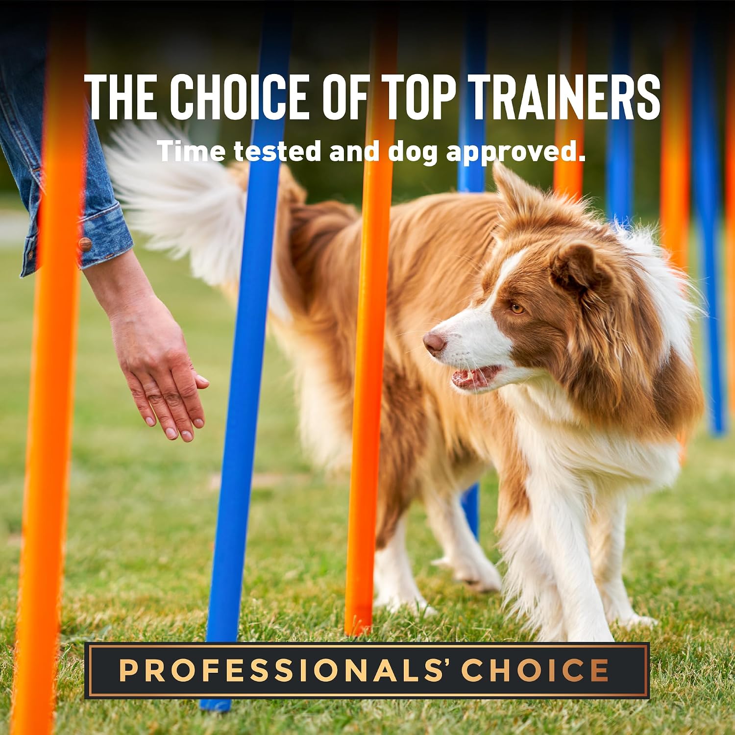 Cloud Star Tricky Trainers Crunchy Dog Training Treats 12 oz. Bag, Cheddar Flavor, Low-Calorie Behavior Aid with 680 Treats - Image 4