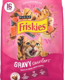 Purina Friskies Gravy Swirlers with Flavors of Chicken, Salmon and Gravy Dry Cat Food - 16 Lb. Bag