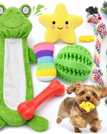 LOYEE 8 Pack Puppy Toys for Small Dogs, Luxury Dog Chew Toys with Squeaky Plush Toys, Rope Toys and Ball, Teething Toys for Puppy Supplies