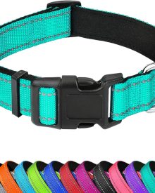 Reflective Dog Collar, Adjustable Soft Neoprene Padded,Teal,M | Breathable Nylon for Medium Dogs,Tear-Resistant Webbing,Chafe‑Free on Walks and Hikes,Metal D-Ring,Night Safety