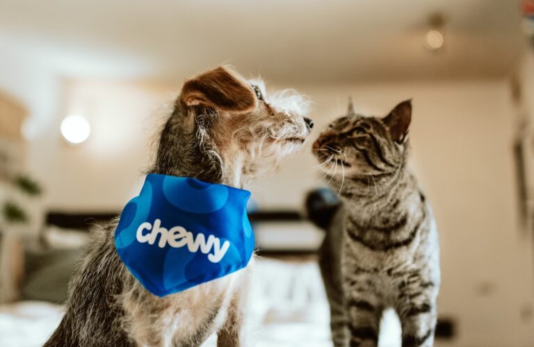 Essential Pet Products Every Owner Should Consider