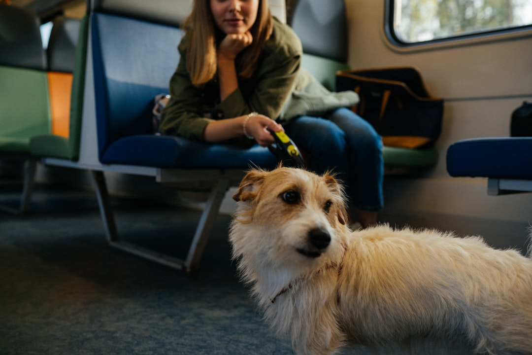 The Best Grooming Supplies for Every Pet Type